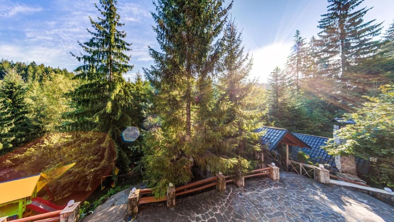 Karpatska Villa Mîkulîciîn Exterior foto