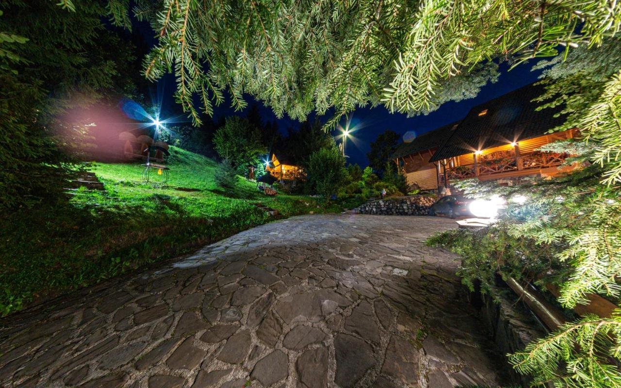 Karpatska Villa Mîkulîciîn Exterior foto